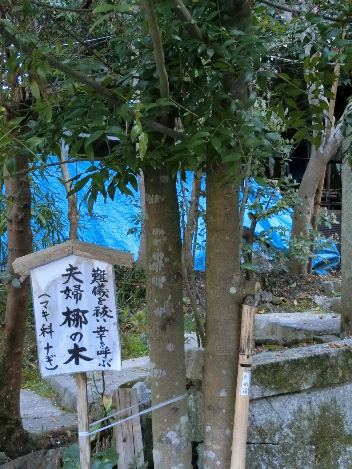 画像10