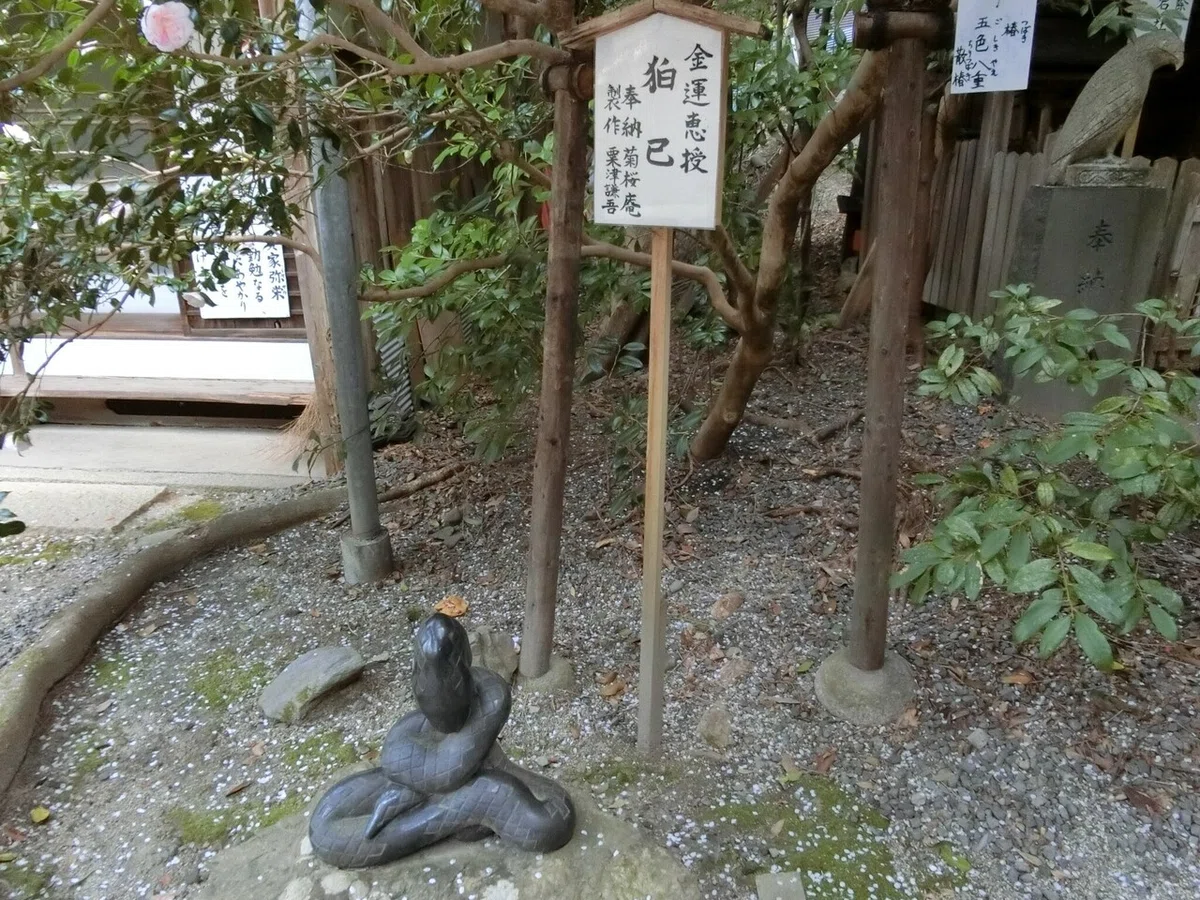 画像12