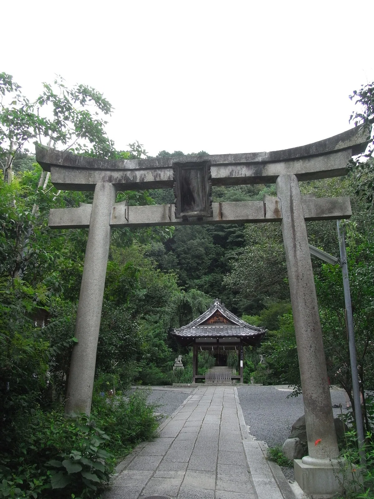 画像16
