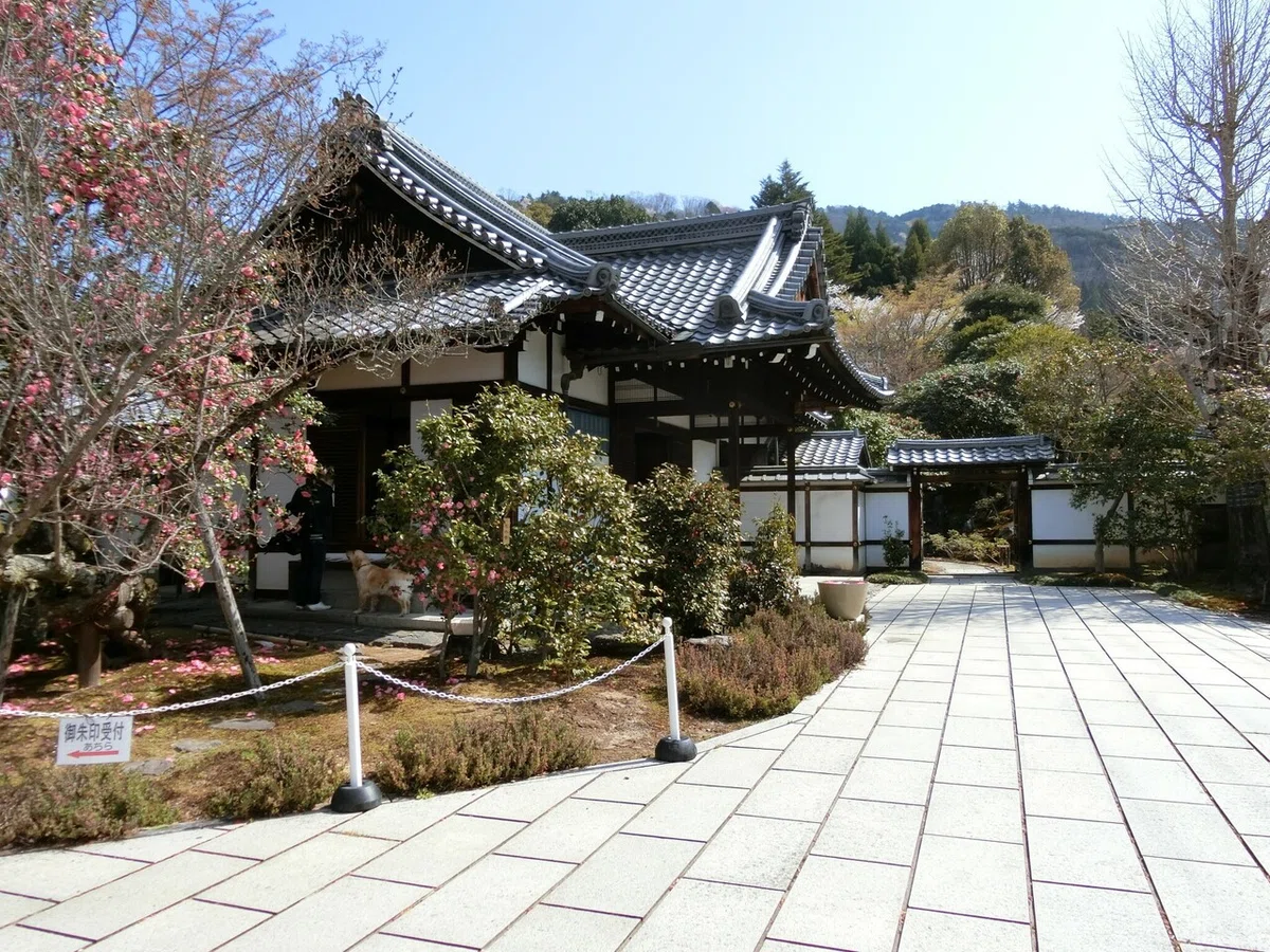 画像7