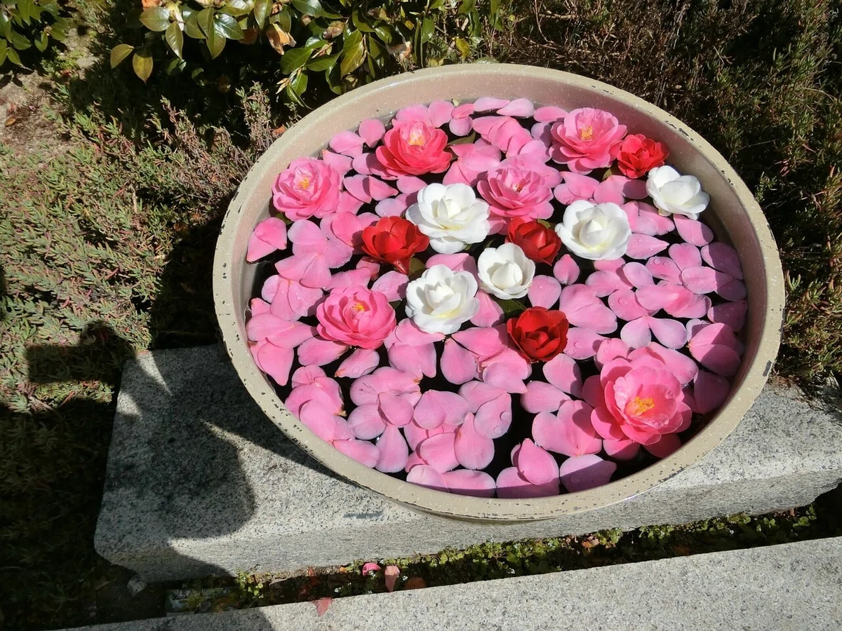 画像10