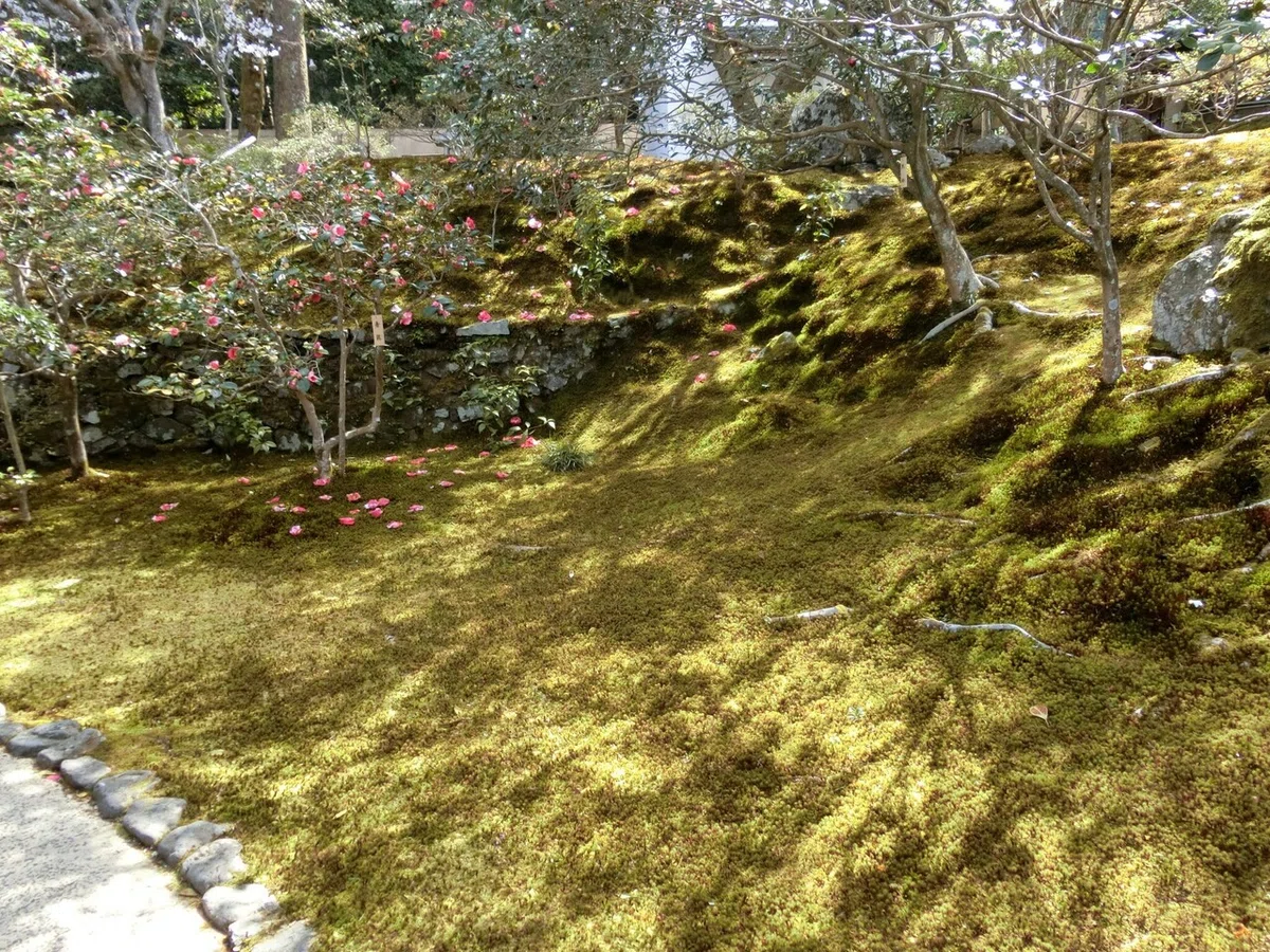 画像13