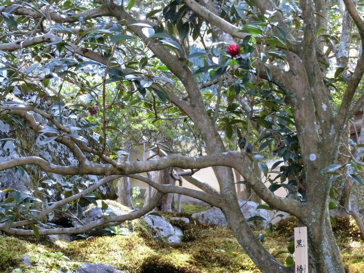 画像14
