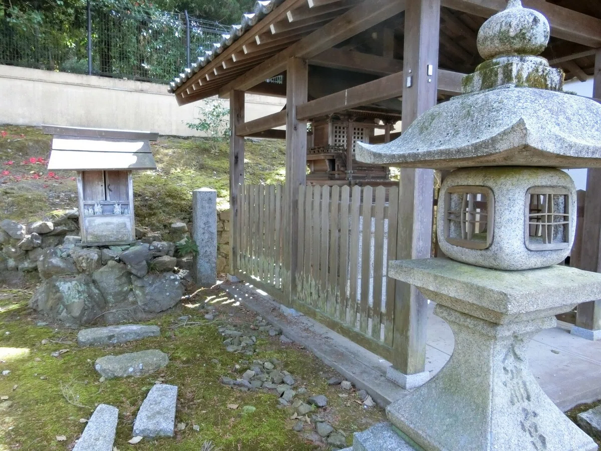 画像17