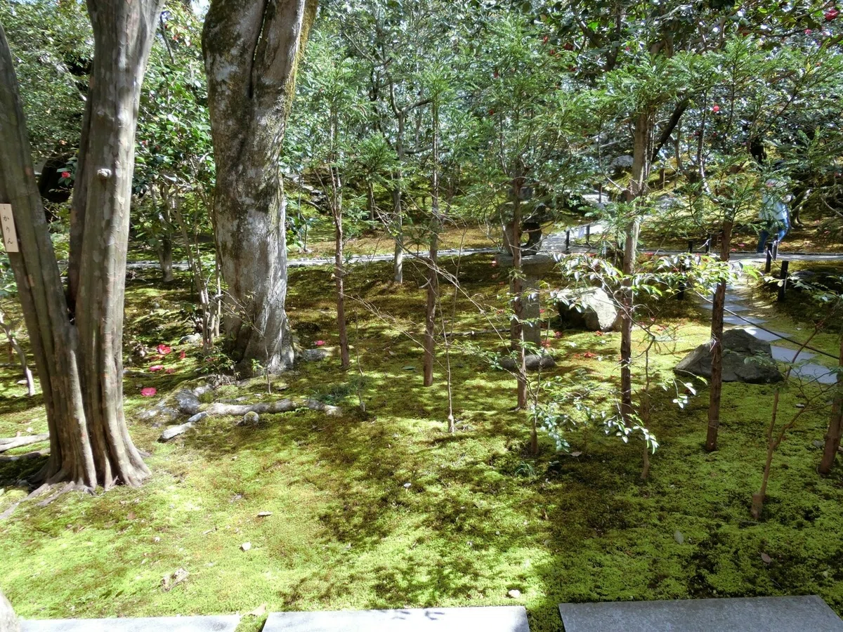 画像18