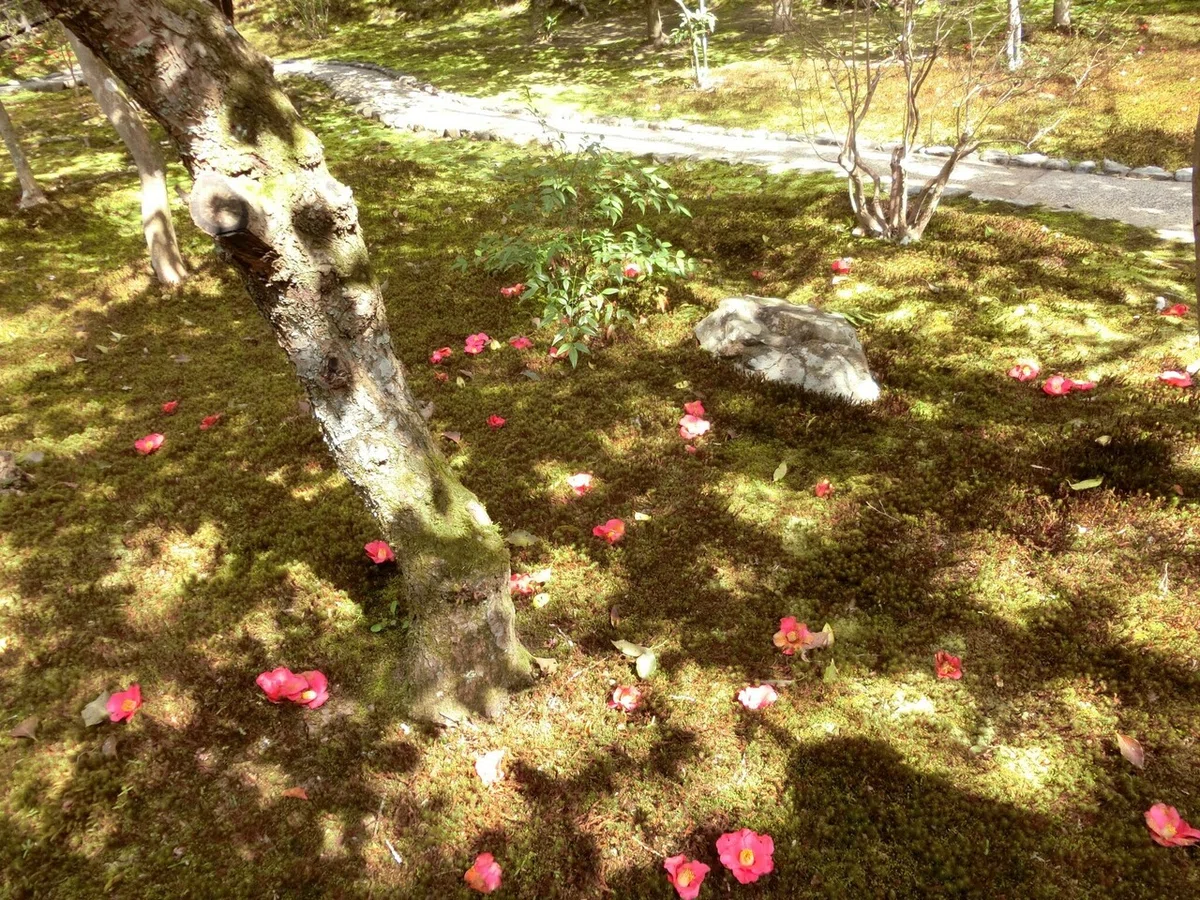 画像19