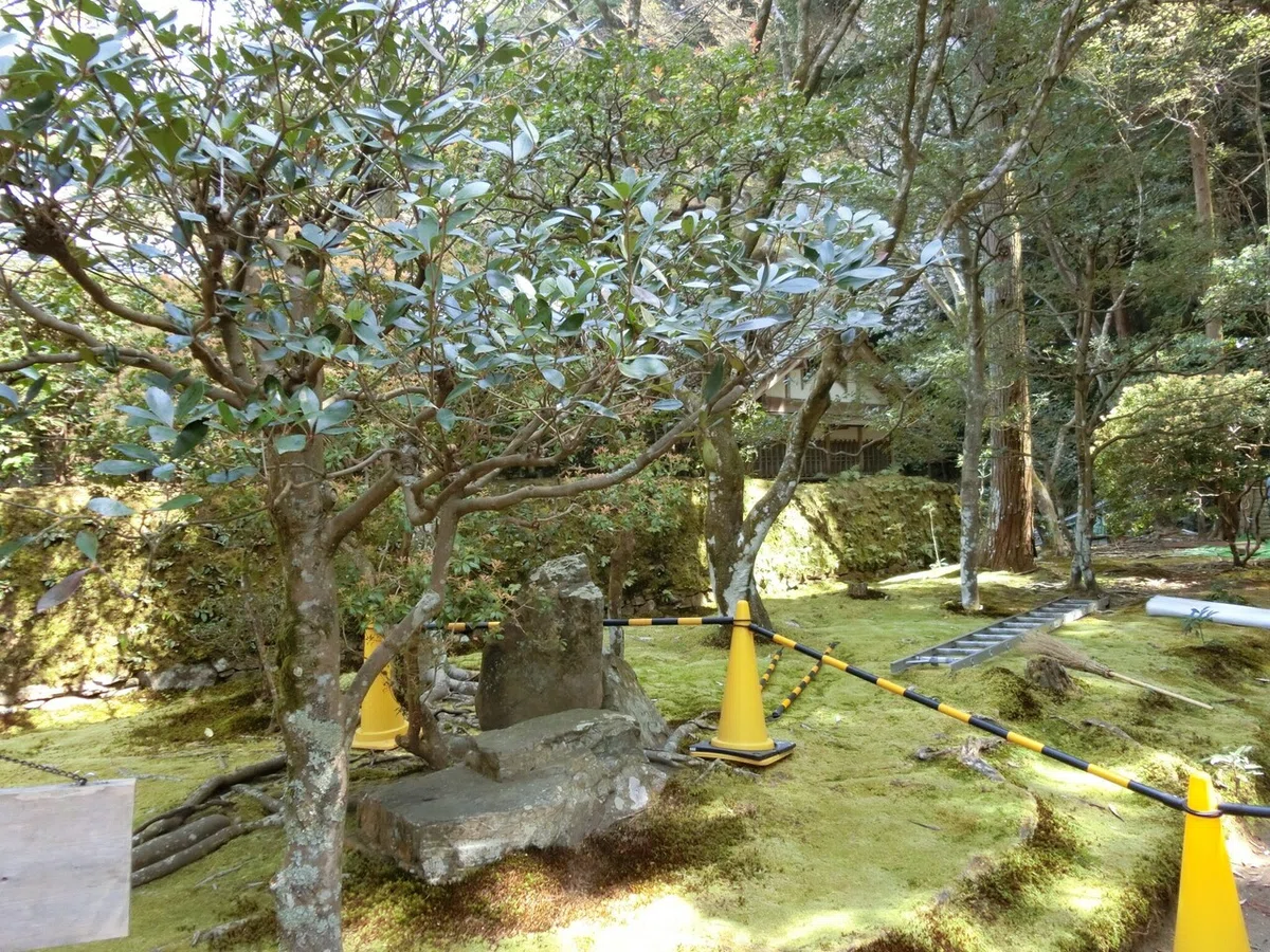 画像7