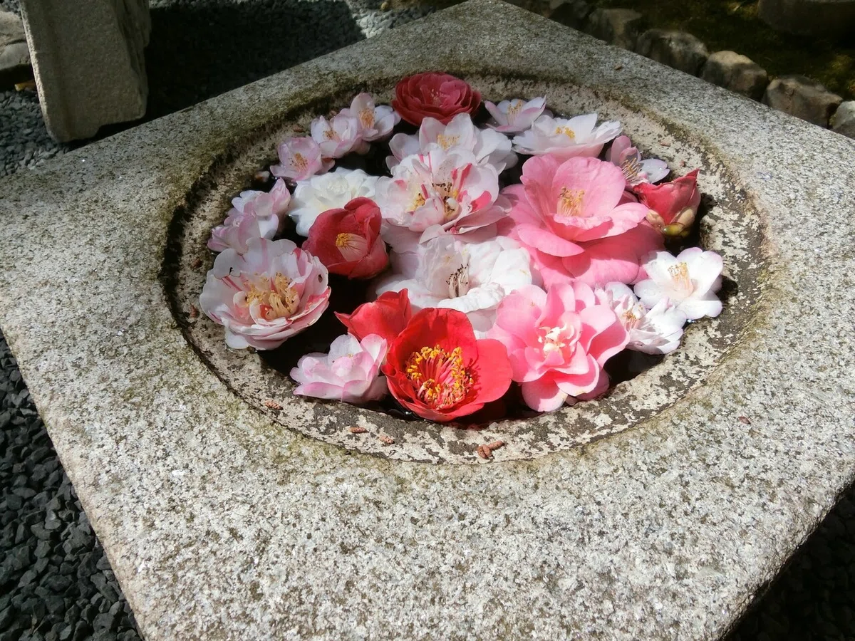 画像8