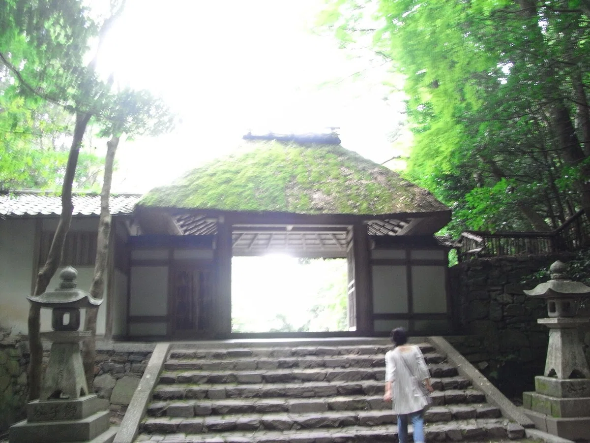 画像11