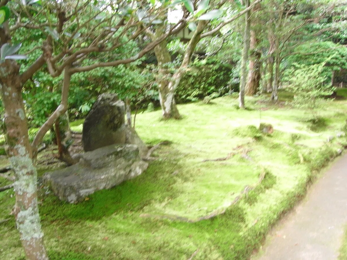 画像14