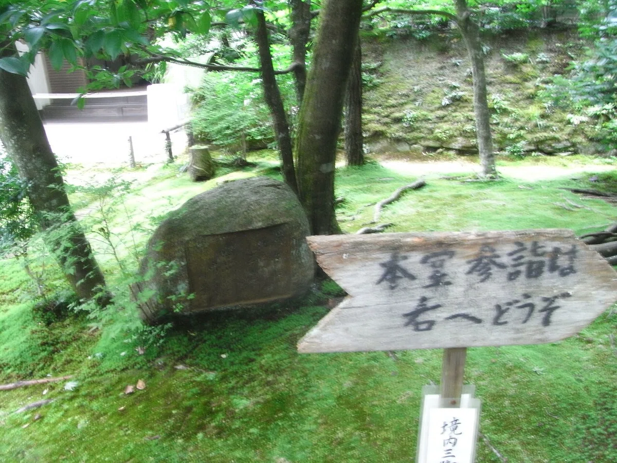 画像15