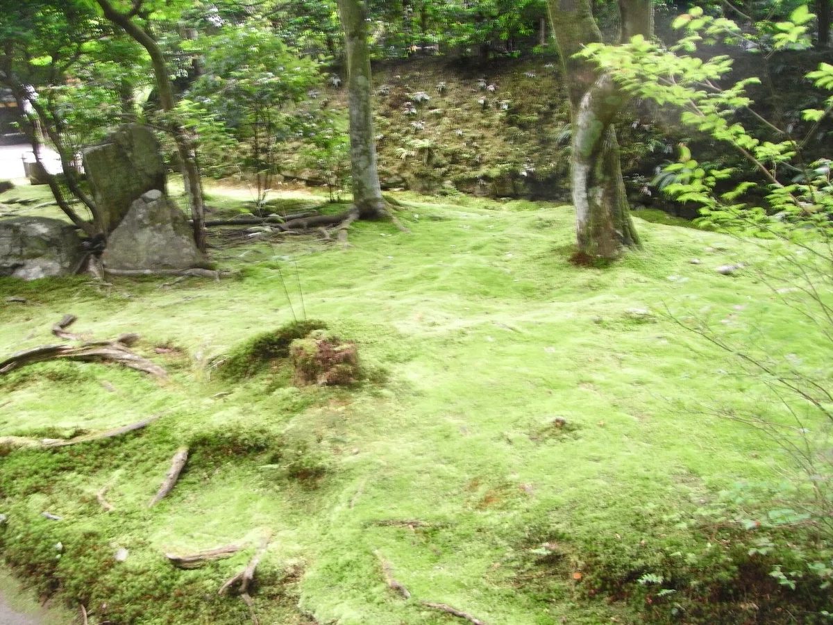 画像16