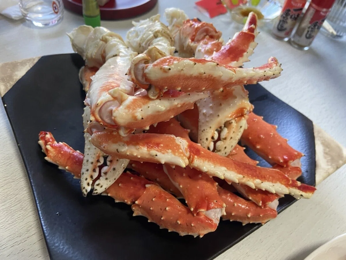 画像7