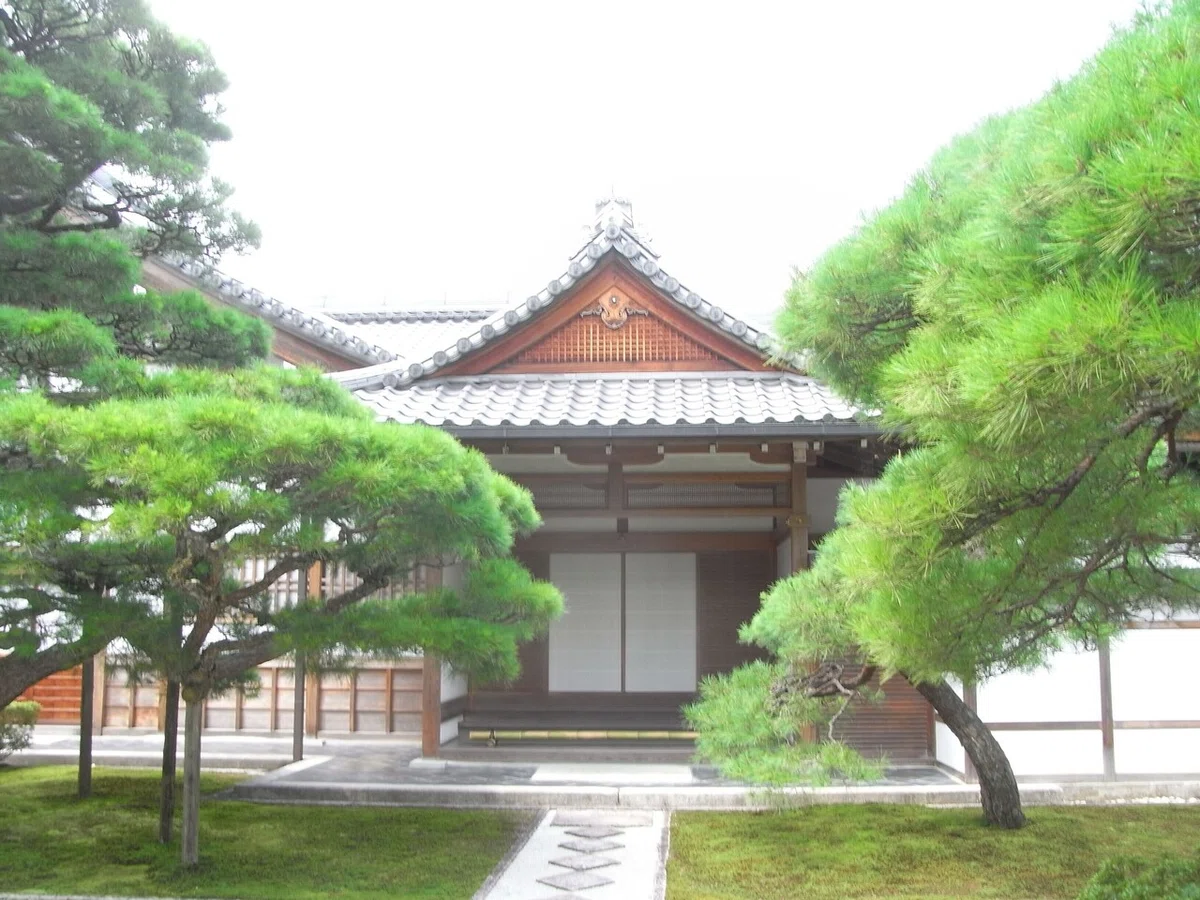 画像7