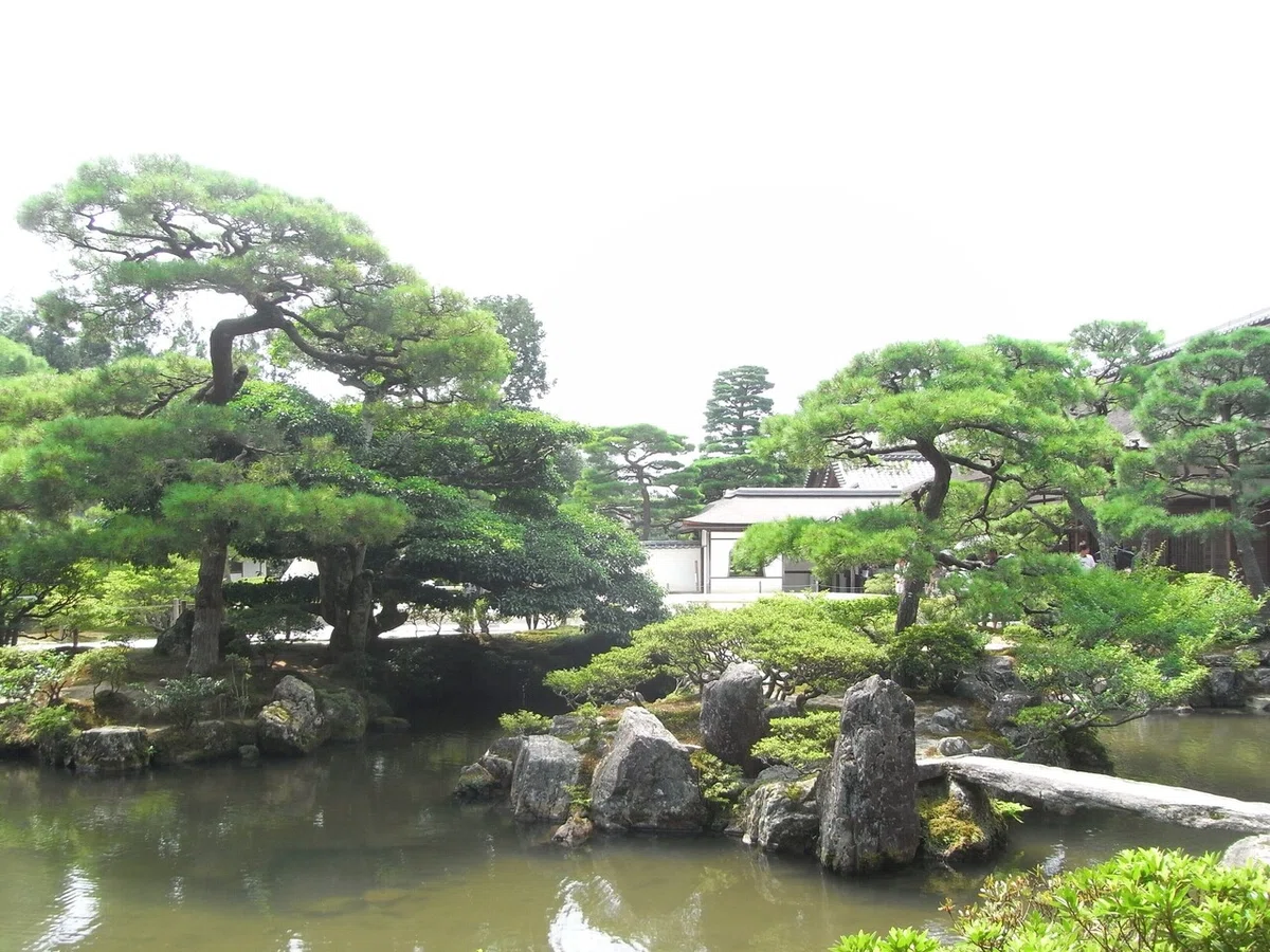 画像16