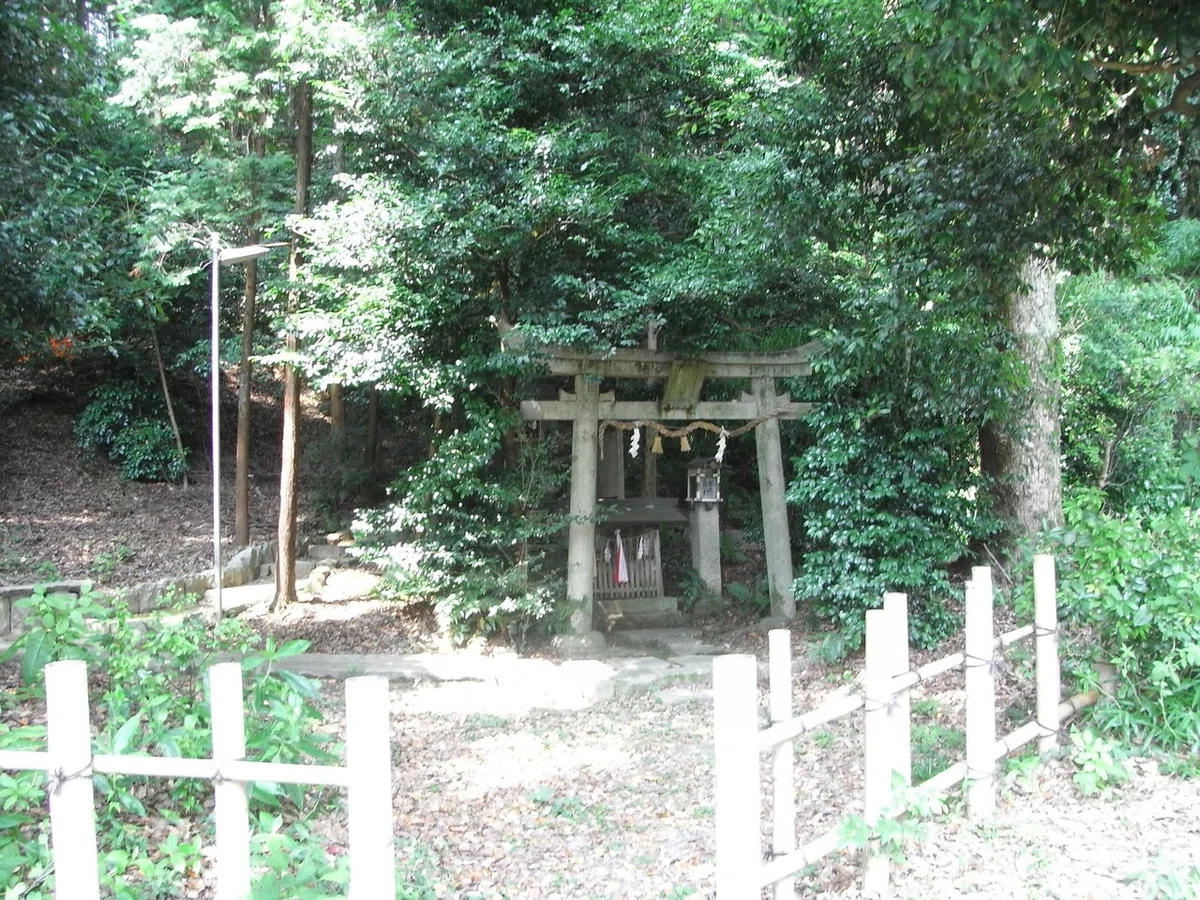 画像24
