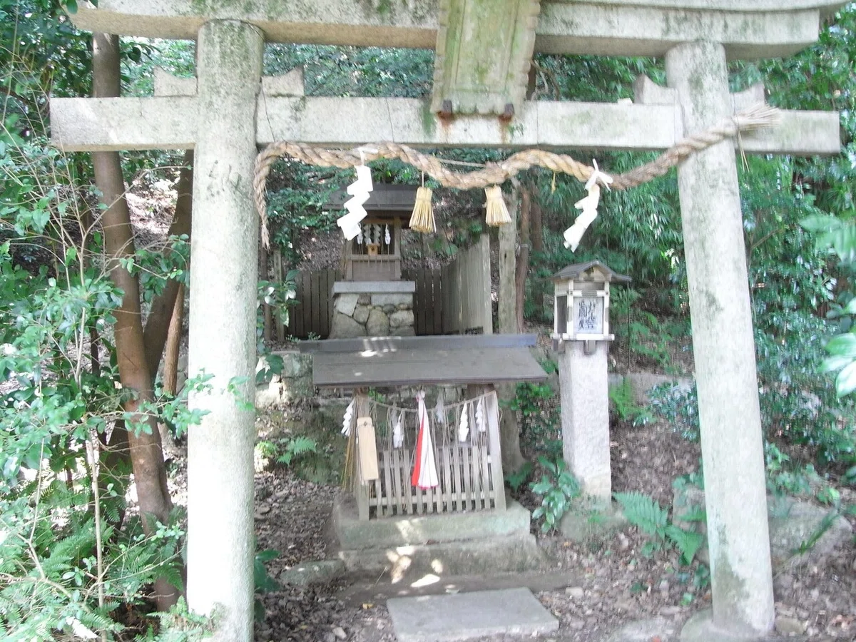 画像25