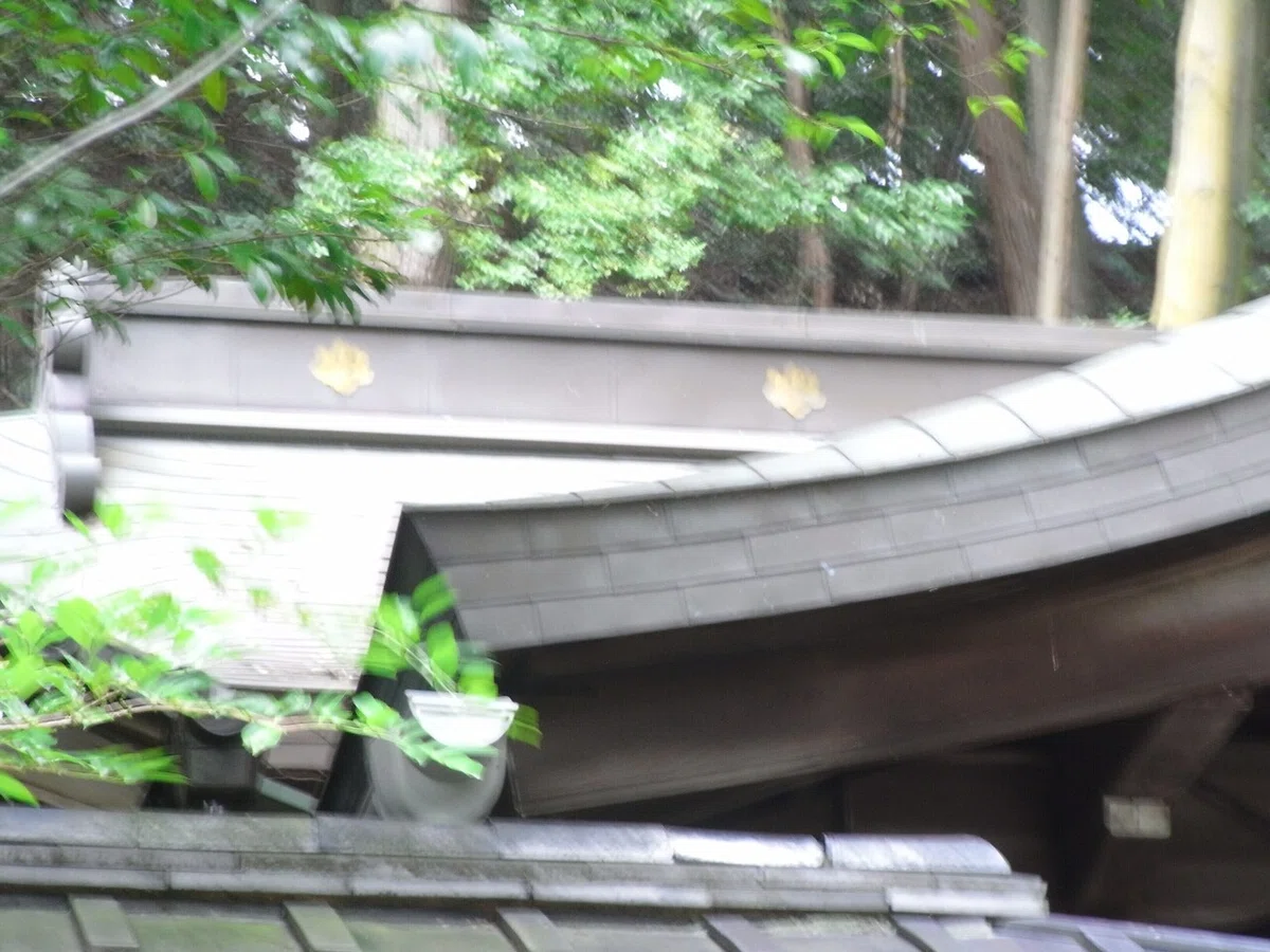 画像28