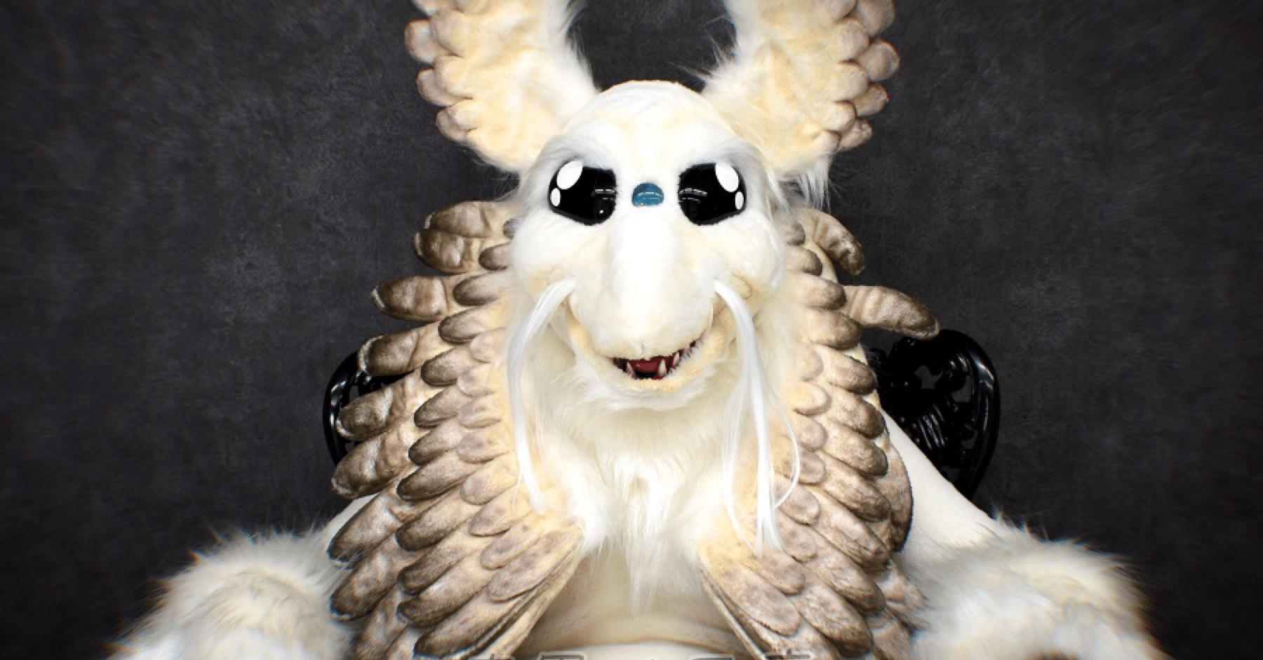 41a26f20a80f77469ab9bb8c15bc4a