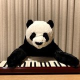 Reinvent Panda