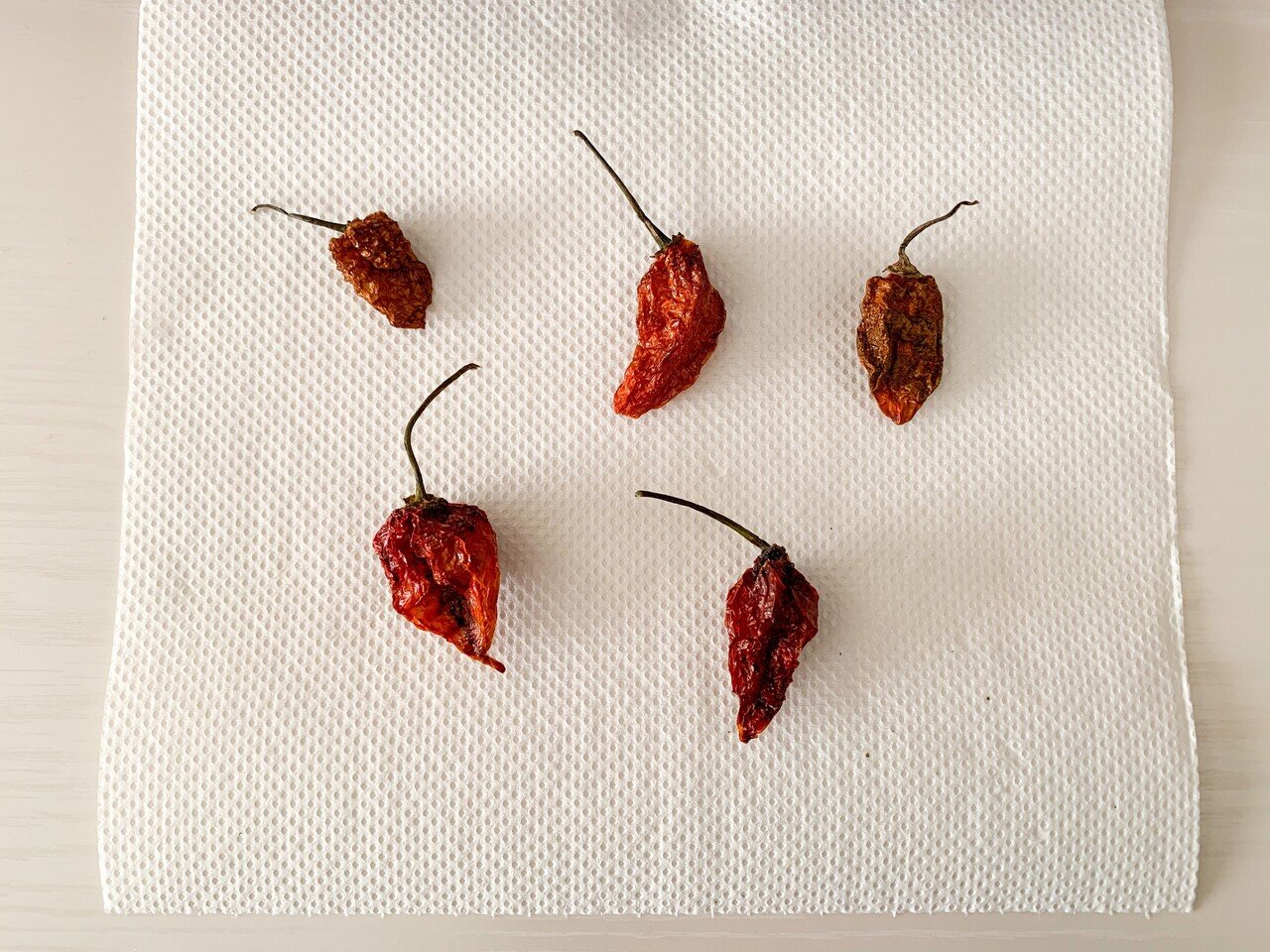 世界の唐辛子 みや Note