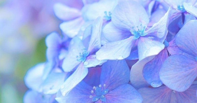 花と器 2 アガパンサスと紫陽花 カナエナカ Note 花と器 2 アガパンサスと紫陽花 カナエナカ Note