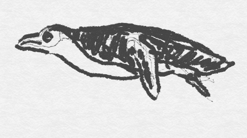 首長竜2 0 Plesiosauria2 0 Todomadogiwa Note