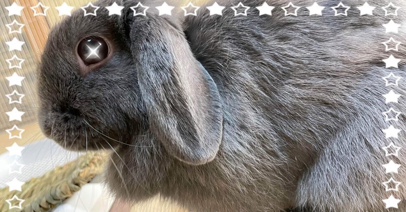 アニメ マンガ からくりサーカス げーらびーず Note アニメ マンガ からくりサーカス げーらびーず Note