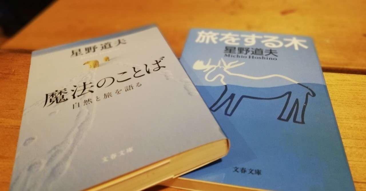 夏至の夜は星野道夫を思い出す シカクマ Note