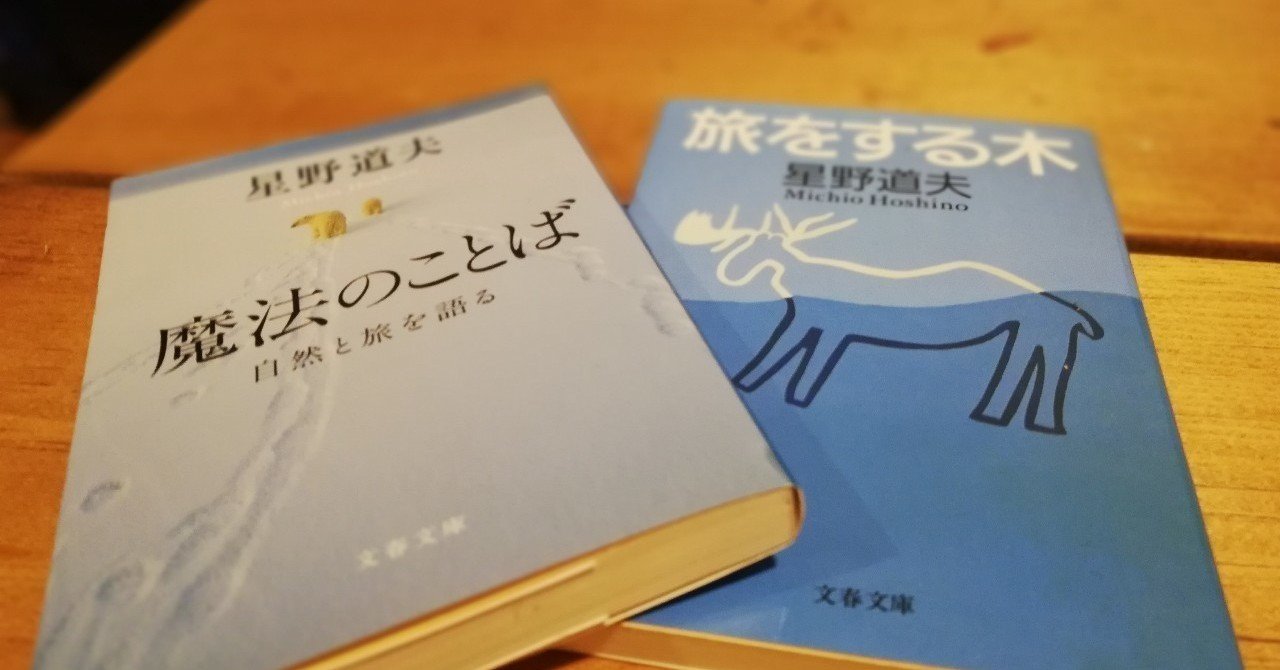 夏至の夜は星野道夫を思い出す シカクマ Note