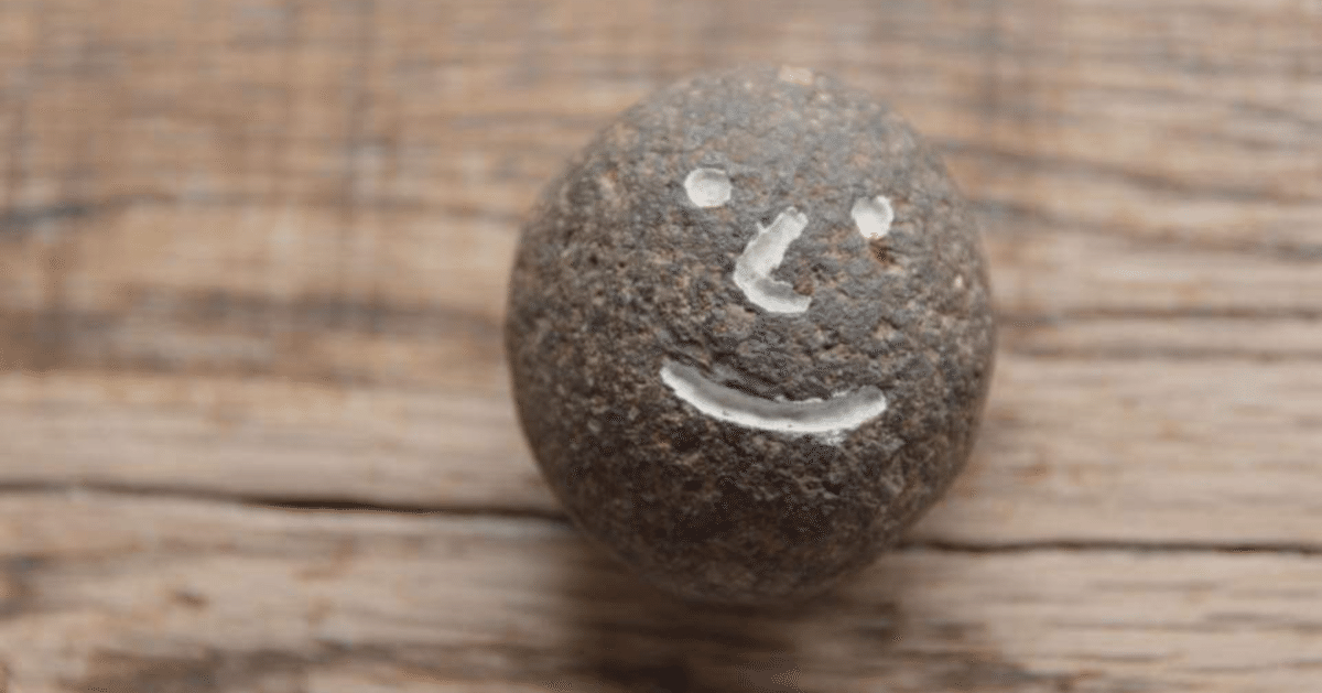 なおぽん！さん専用 なおぽんさん専用 制作依頼品ラジコンボディ