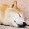 春原いずみ