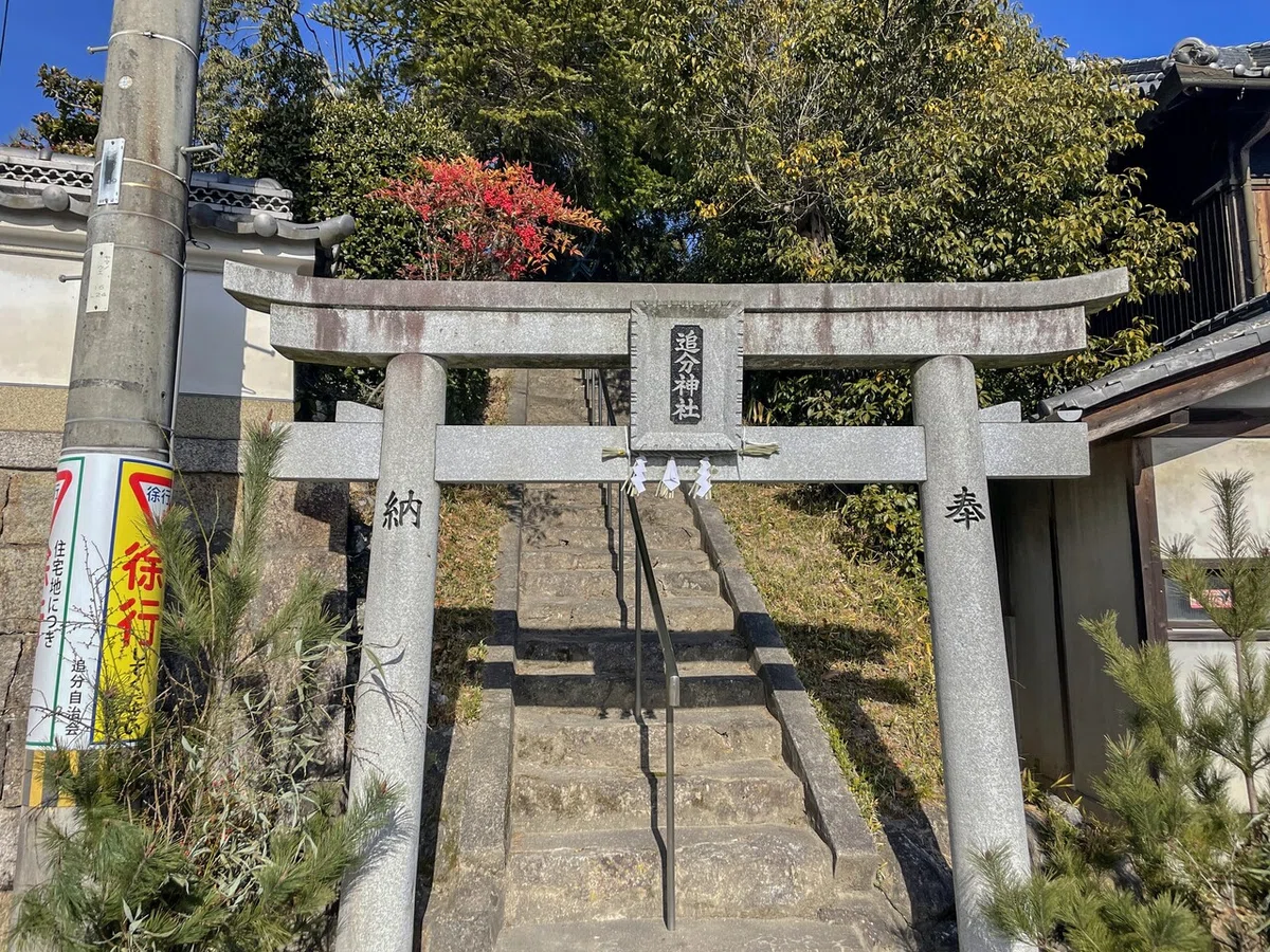 画像5
