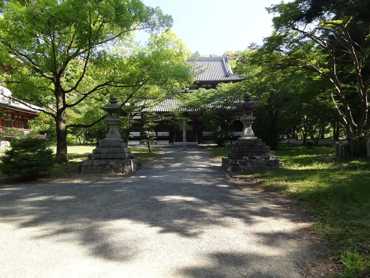 画像4