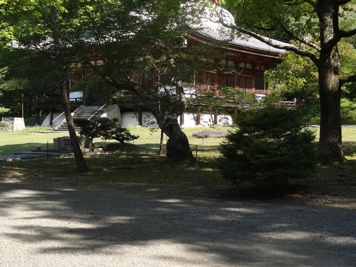 画像5