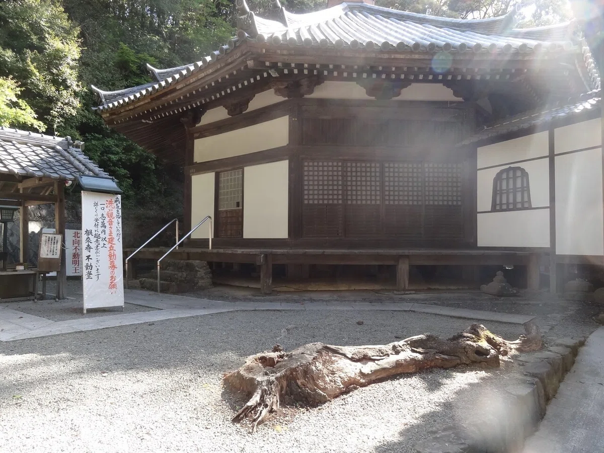 画像6