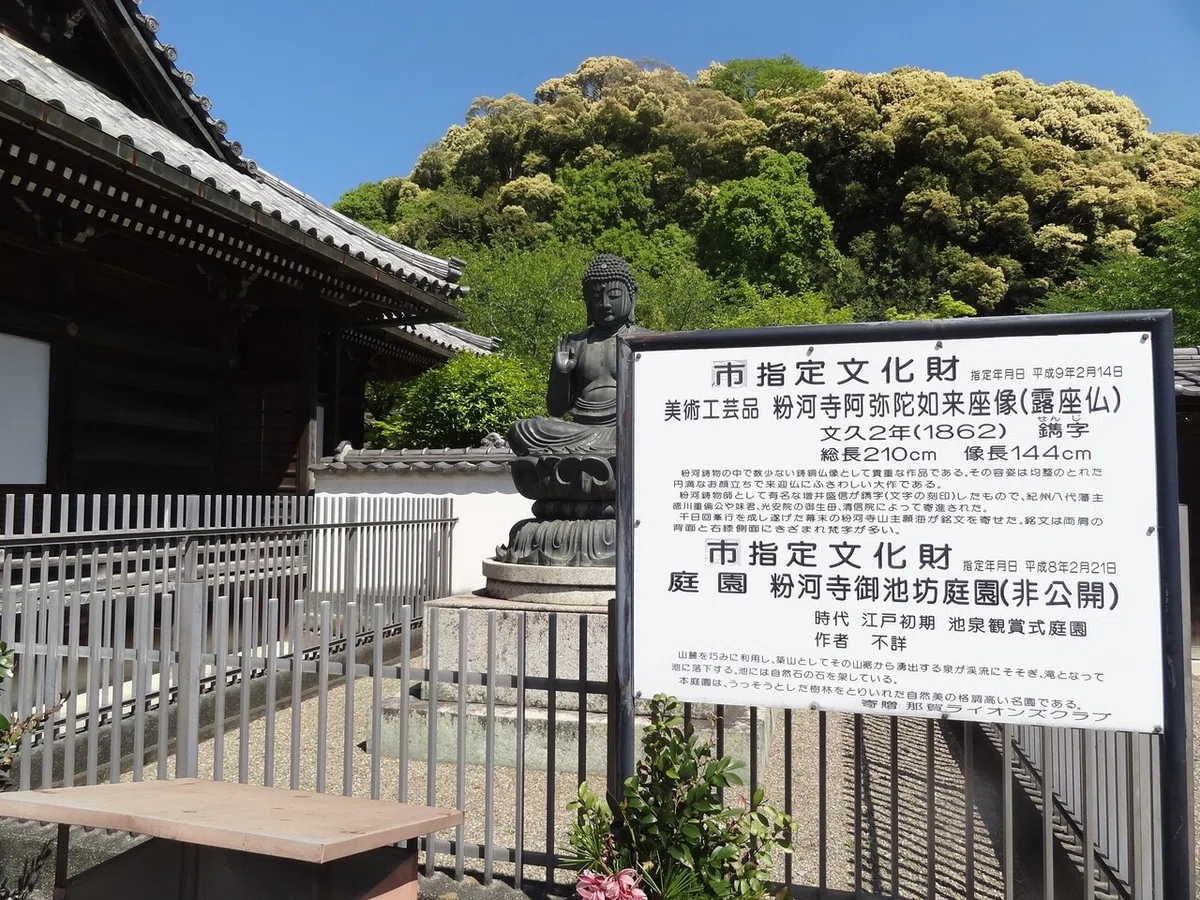 画像7