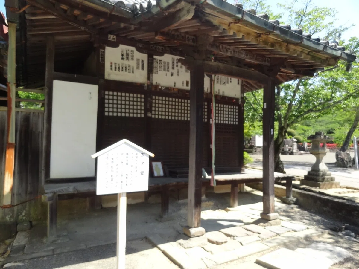 画像8