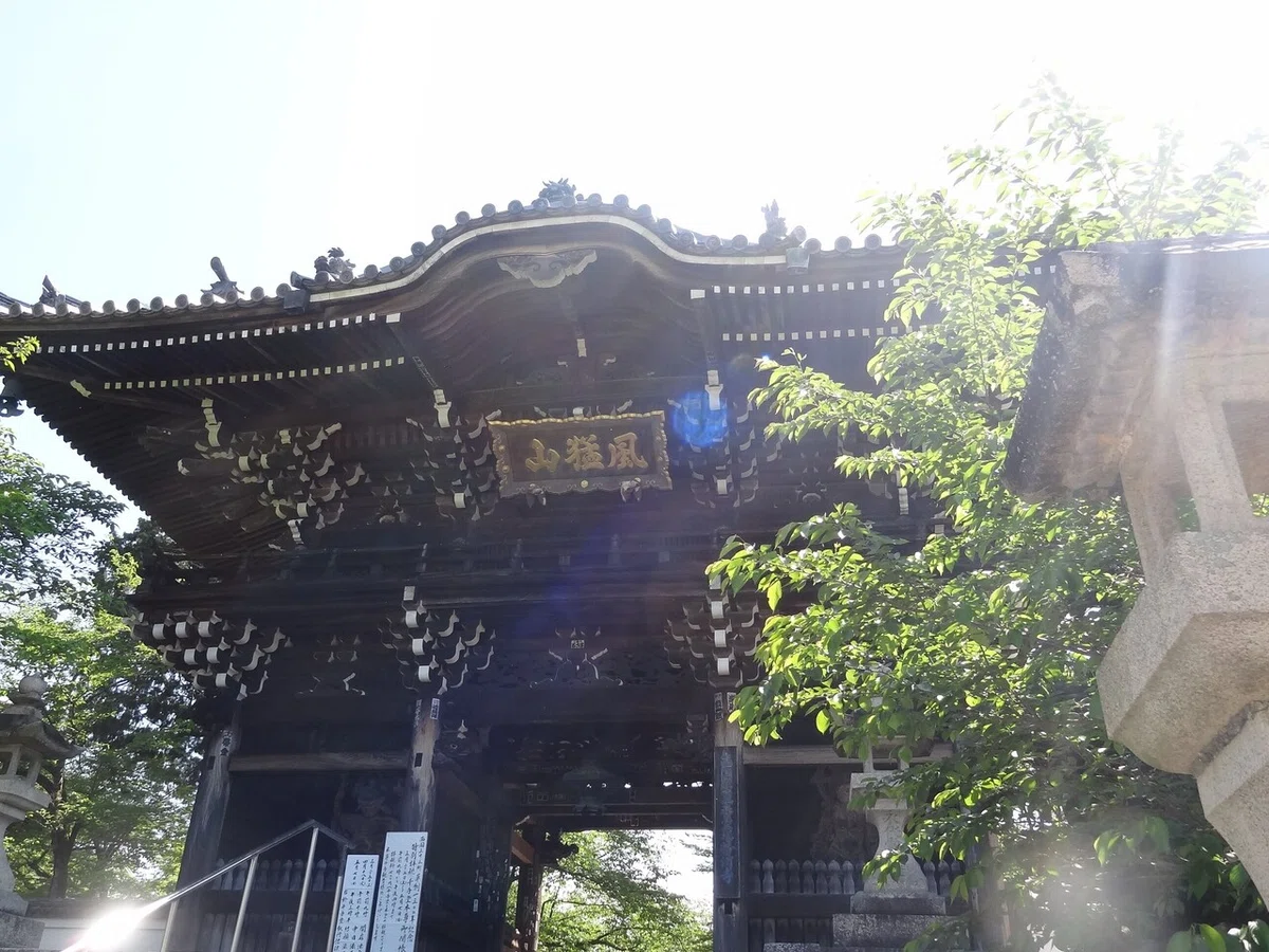 画像9