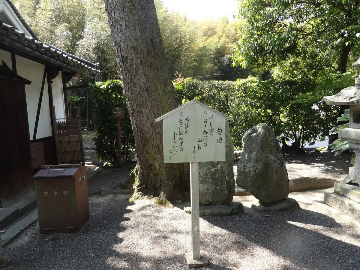 画像15