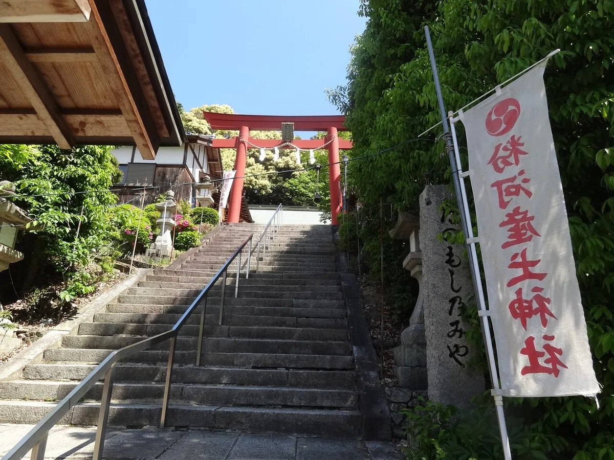 画像24