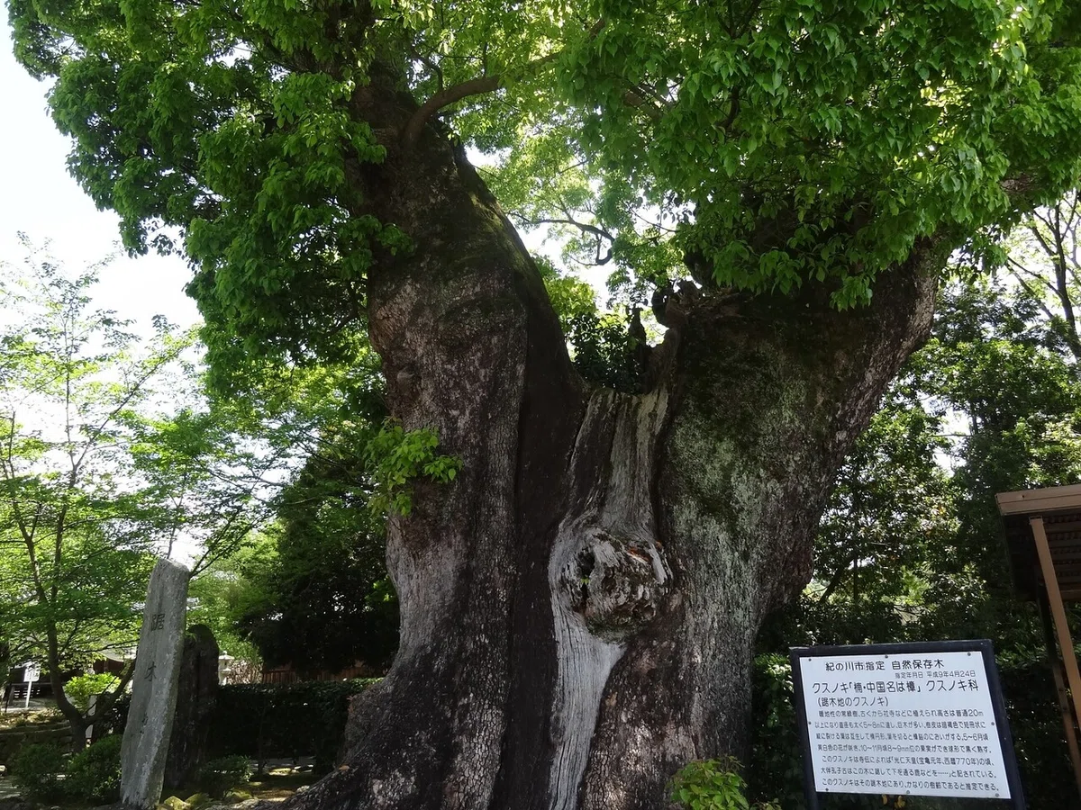 画像29