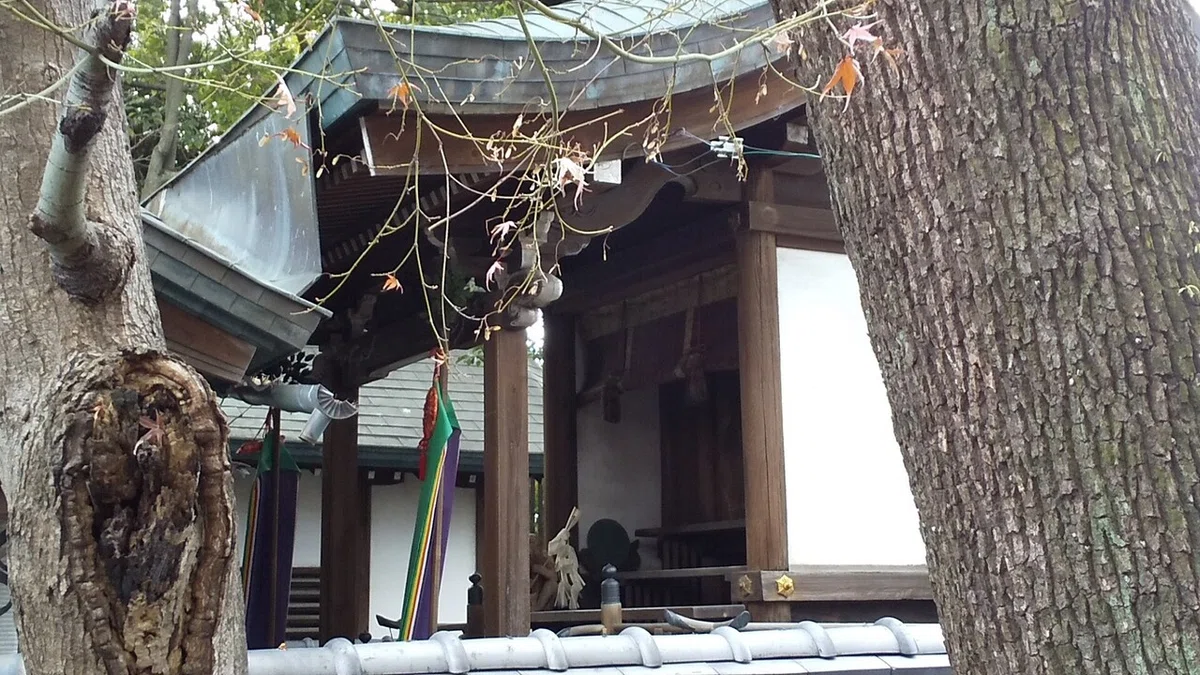 画像45