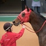 副業競馬