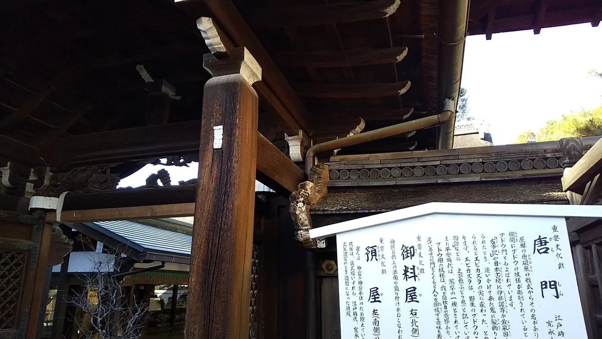 画像61