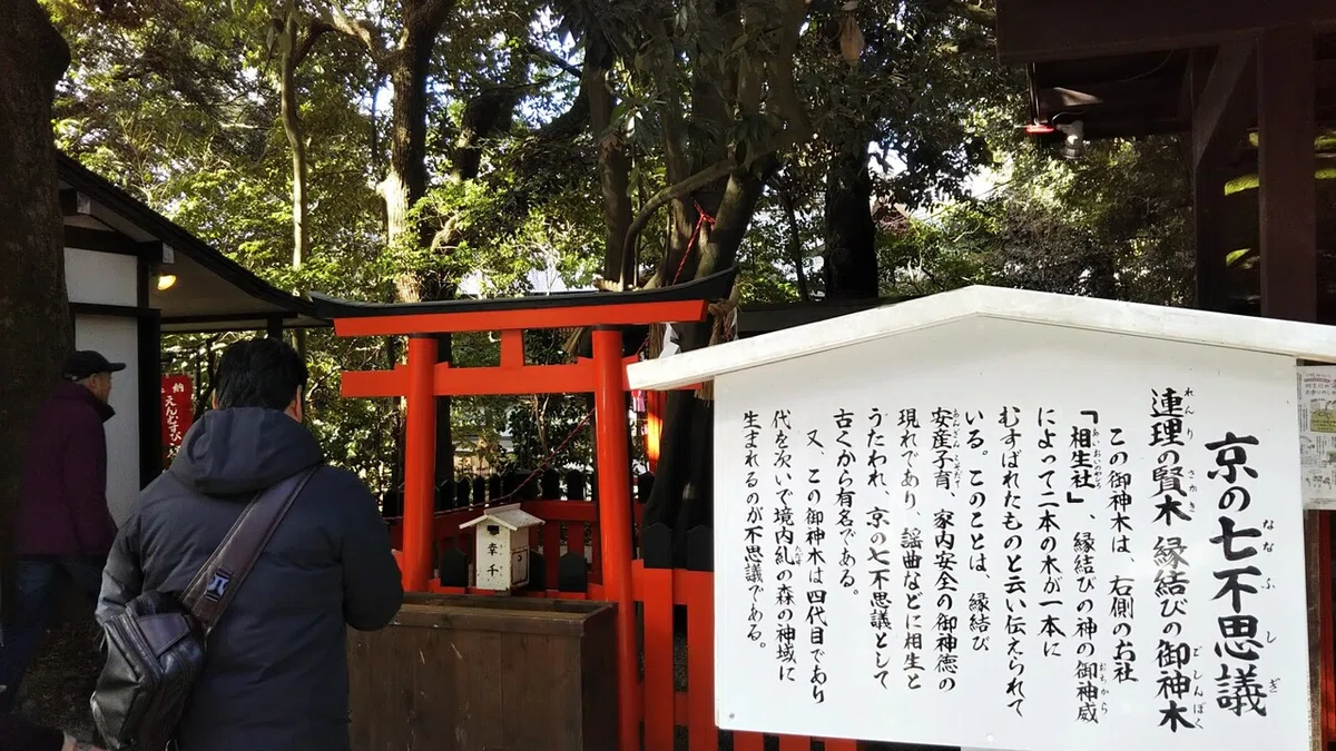 画像91