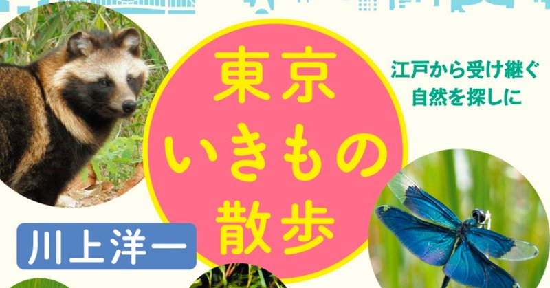 今年の自由研究はこれで決まり！【連載】『東京いきもの散歩』（川上洋一）