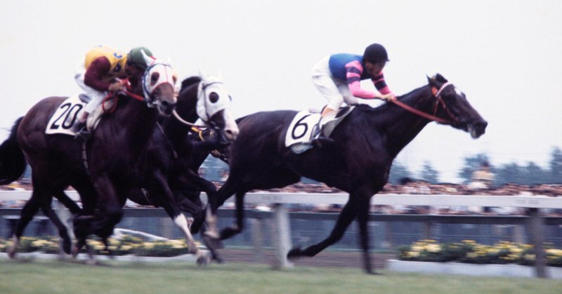 花の47年組 の新着タグ記事一覧 Note つくる つながる とどける