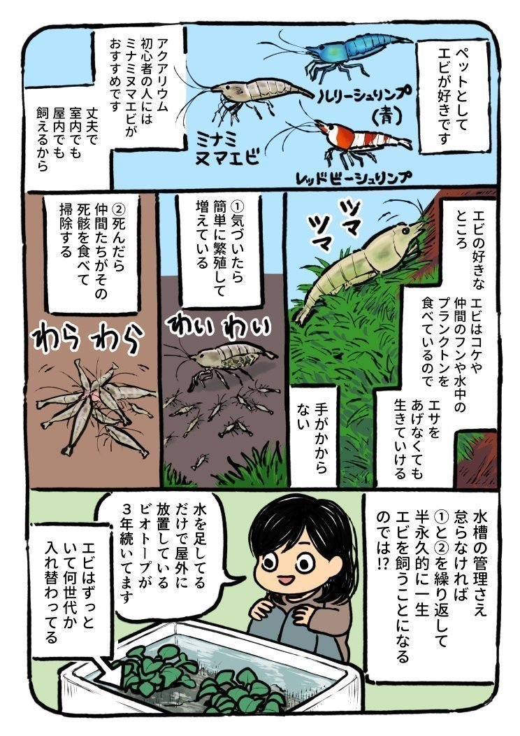 エッセイ漫画とか 園田ゆり Note