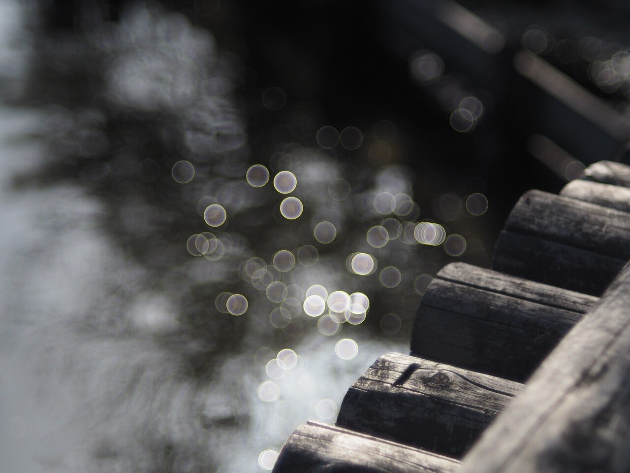 Fujinonレンズで Bubble-Bokeh写真を撮る!|torikago Fujinonレンズで Bubble-Bokeh写真を撮る!|torikago